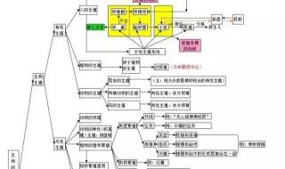 初中生物中考知识点全归纳